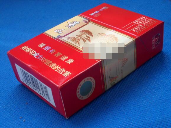 威能壁挂炉 户外烟道图|威能壁挂炉烟囱-低价香烟网